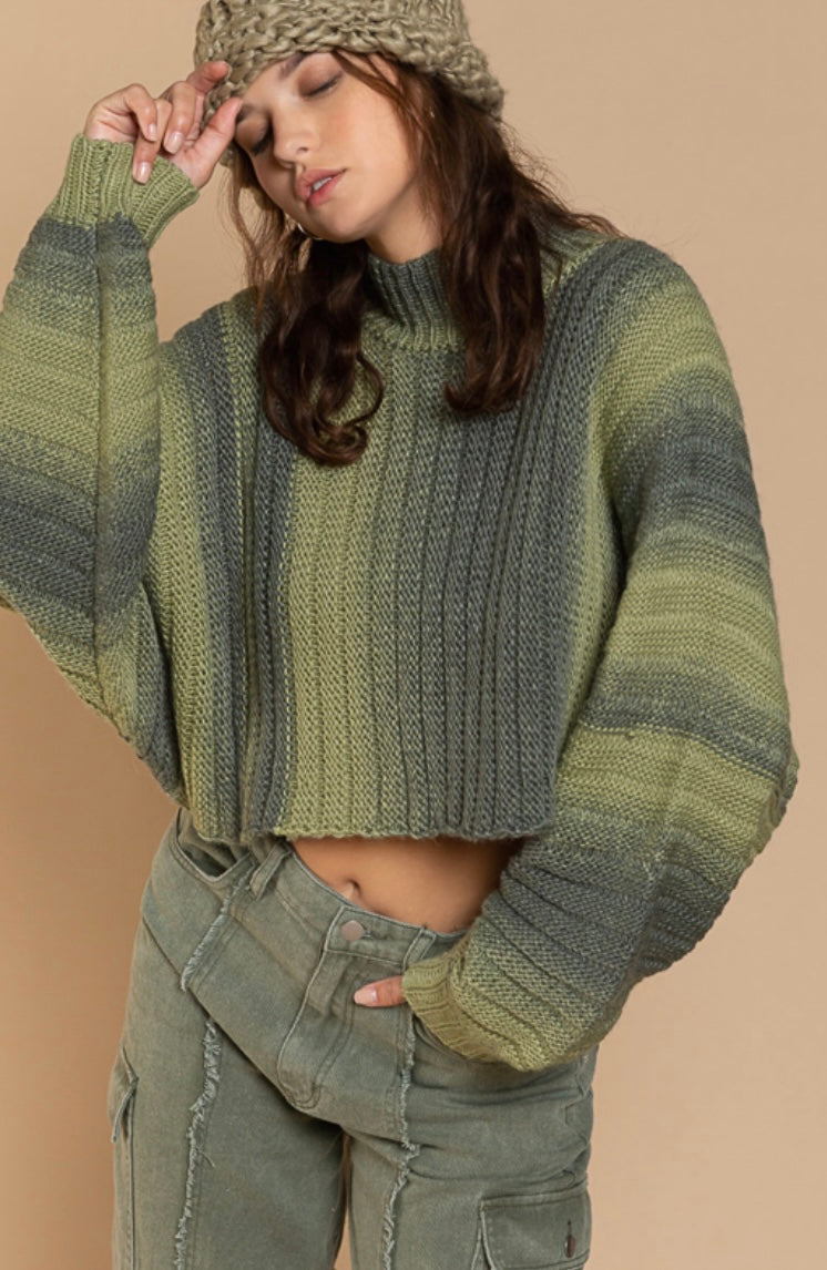 Olive Multi Cropped Sweater – Blue Ruby