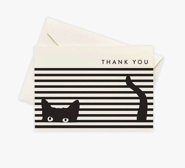 Cat Boxed Notes